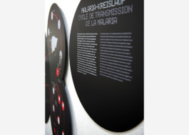 Gemeinsam gegen Malaria, Ausstellungsdesign